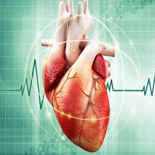 ئاریتێمی دڵ چیە؟ چی جۆرگەلێکی هەیە و چۆن چارەسەر دەبێت؟