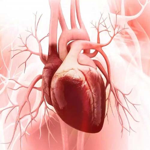 نەخۆشی کەم و کووڕی کۆ ئەندامی دڵ