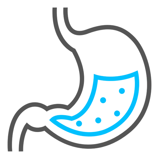 Digestion