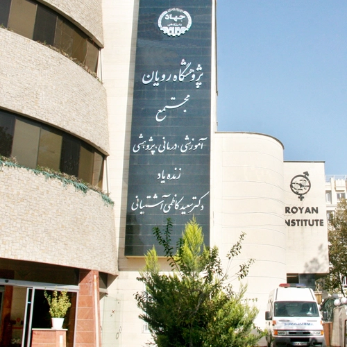 00125487 - Copy
